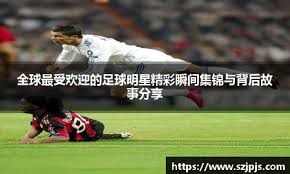 世界棒球经典赛技术人员培训完成