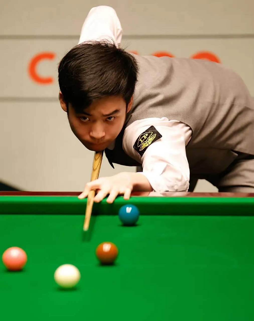 供了更多调 供了更多调