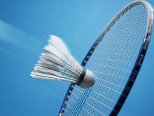 奇色彩的比 奇色彩的比